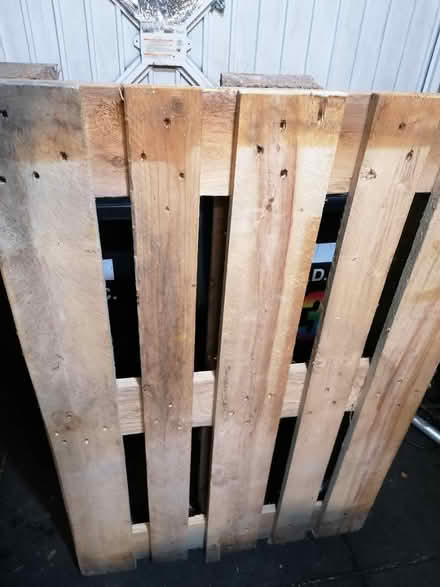 Photo of free Wood pallet (Littleport CB6) #1