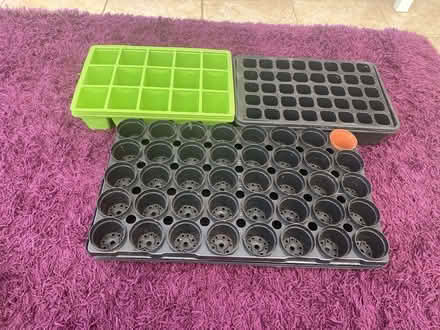 Photo of free Various seed trays (Waddesdon, Aylesbury) #1