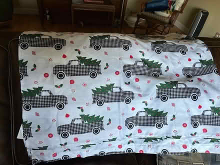 Photo of free Christmas shower curtain (Morgan Hill) #1