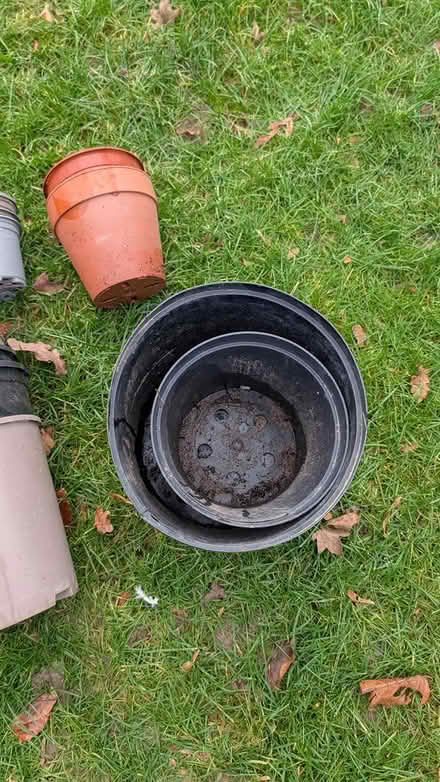 Photo of free Various sizes of flower pots (Southwater) #4