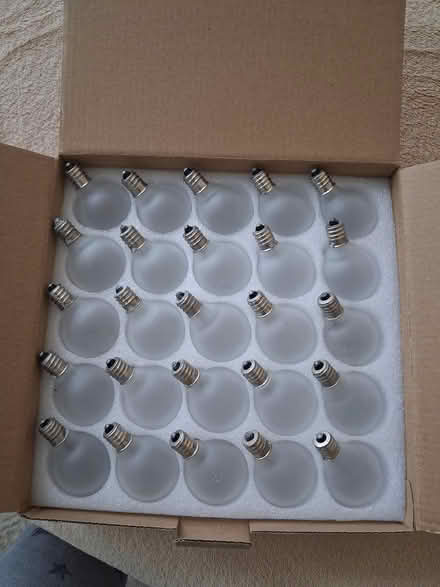 Photo of free 25 5w g40 Replacement bulbs clear (Highlands, NJ) #1
