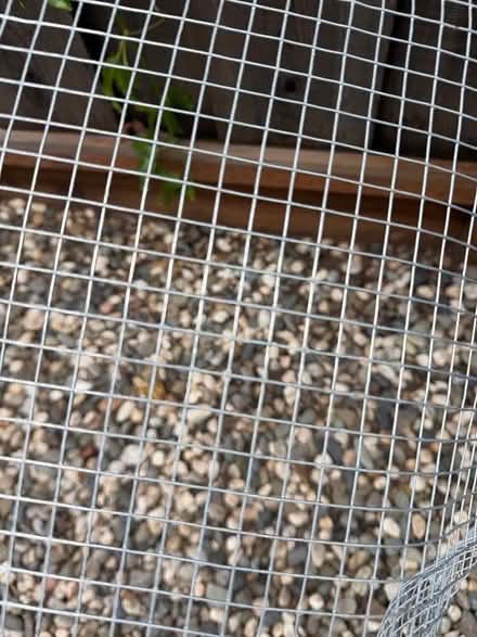 Photo of free 4’ x 10’ wire mesh (Redwood city) #1