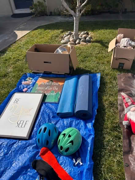 Photo of free free sale (San Jose Hillsdale near Ross) #1
