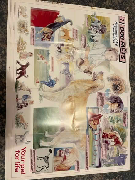 Photo of free Various dog posters (Parkstone BH14) #2