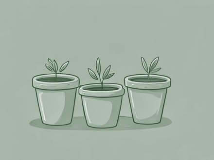 Photo of Terracotta Pots (CT3) #1