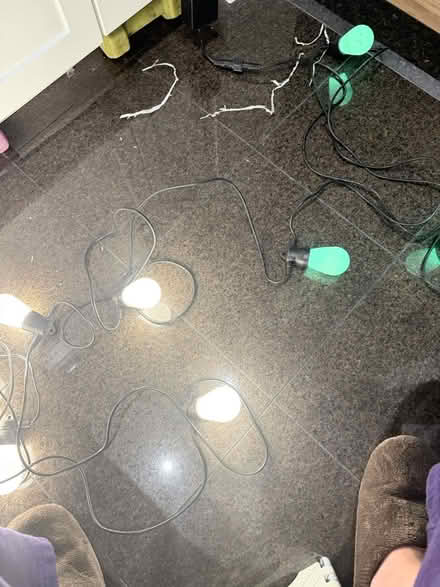 Photo of free Govee 15 string lights (Midtown west) #1