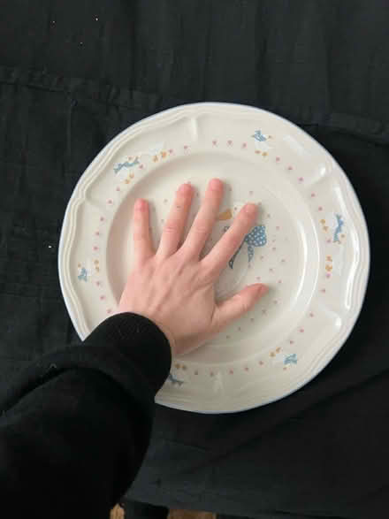 Photo of free Duck plate (East Kilbride) #3