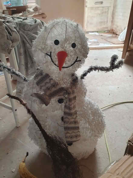 Photo of free indoor snowman (New Greens AL3) #1