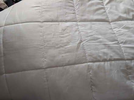 Photo of free Single mattress topper (yapton) #1