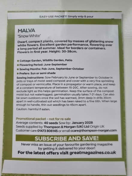 Photo of free Malva flower seeds (Abingdon Oxfordshire OX14) #2
