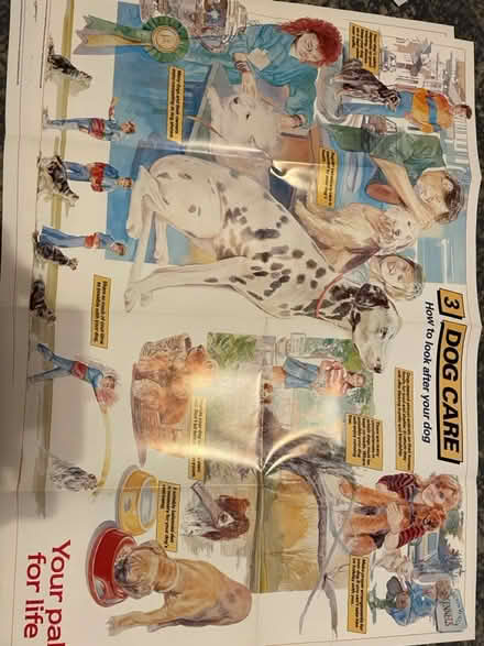 Photo of free Various dog posters (Parkstone BH14) #3