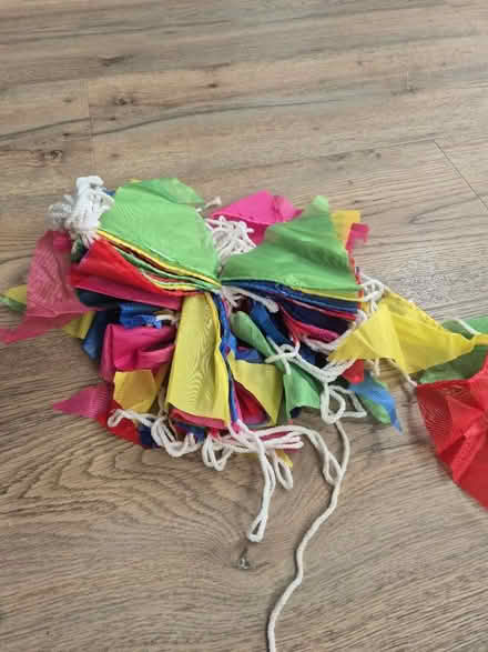 Photo of free Bunting (Old heath road CO2) #2
