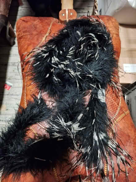 Photo of free Vintage / Antique hat, boa, shawl (Dublin 16) #3