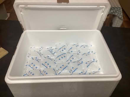 Photo of free Frozen food box and cool packs (Ebley GL5) #1