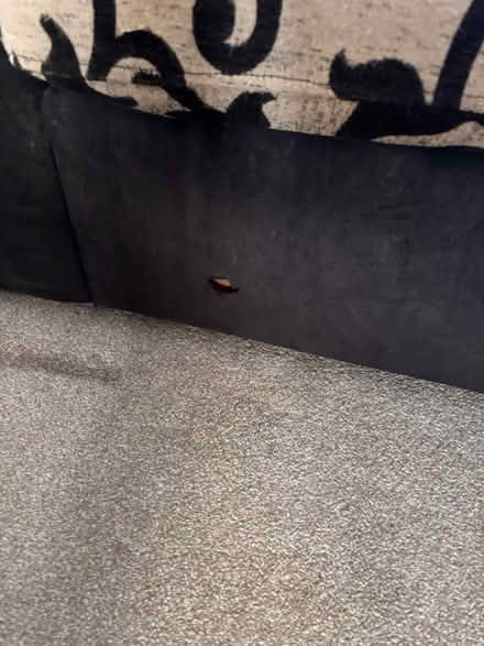 Photo of free Black & White sofa (Cranfield, Bedford) #2