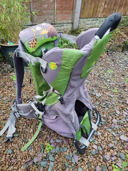 Photo of free Toddler carrying backpack (Bearwood B67) #1