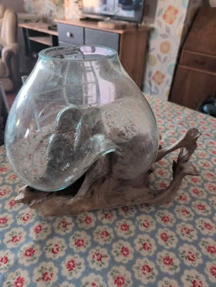 Photo of free For plants (Harrold Bedford) #3