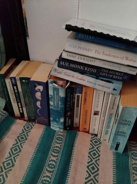 Photo of free Books Novels (North Lichfield WS13) #1