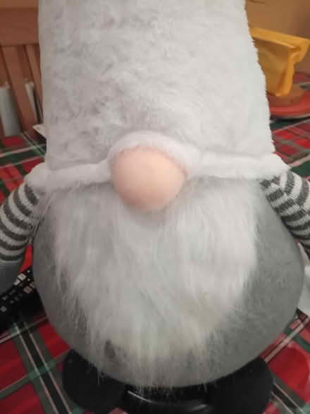 Photo of free Tall plush gnome (MK42) #3