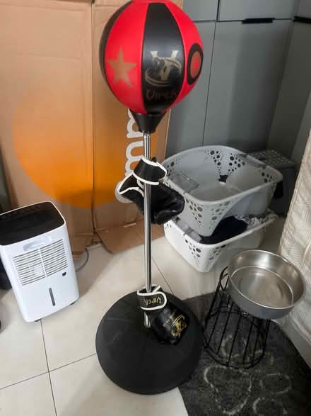 Photo of free Punch ball and gloves (CF14, Whitchurch, cardiff) #1