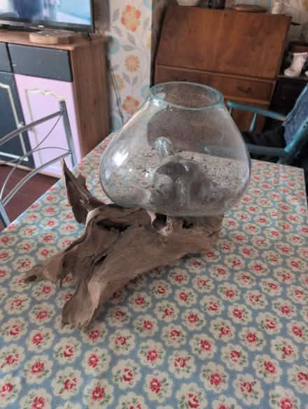 Photo of free For plants (Harrold Bedford) #2