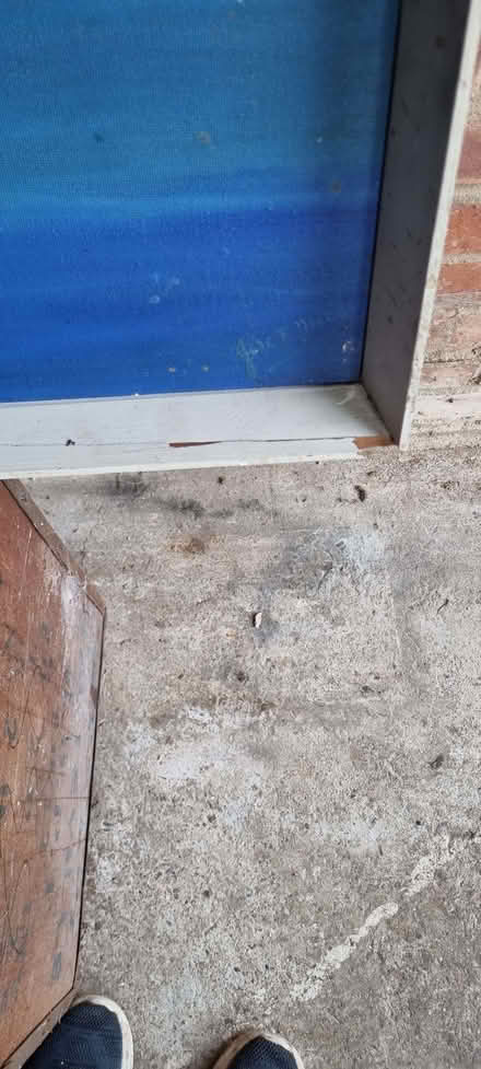 Photo of free Horses Picture (Ravensbourne BR1) #2