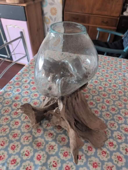 Photo of free For plants (Harrold Bedford) #1