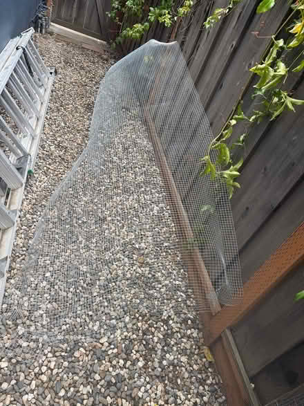 Photo of free 4’ x 10’ wire mesh (Redwood city) #2