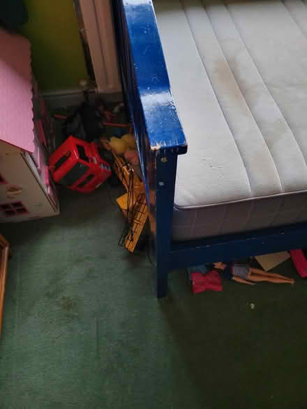 Photo of free Blue painted single bed (BR6) #4