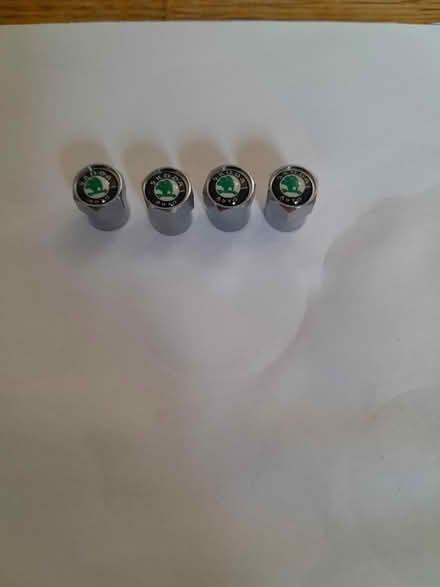 Photo of free Skoda metal dust caps (St. Leonards TN38) #1