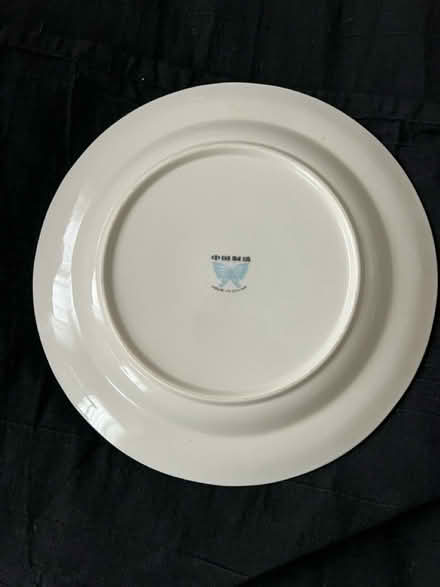 Photo of free Duck plate (East Kilbride) #2