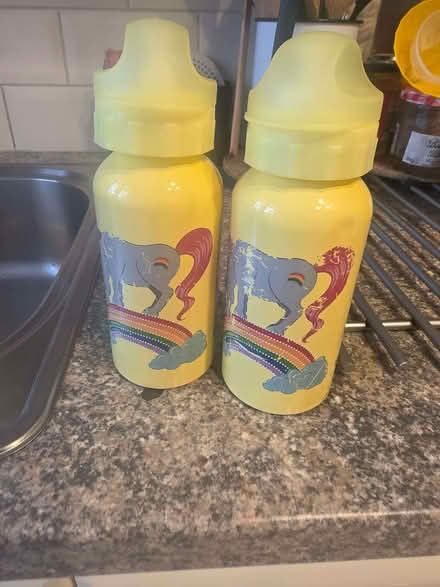 Photo of free 2 children's water bottles (Chingford Mount E4) #1