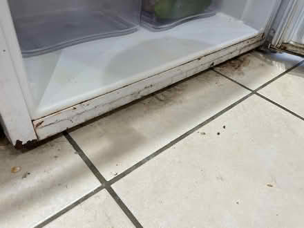 Photo of free Fridge, Larder Type, Undercounter Freestanding (CT2) #3