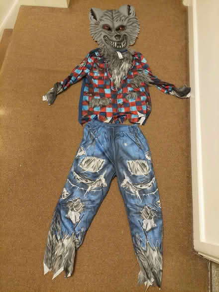 Photo of free Kids dressing up costumes (Hanham BS15) #3