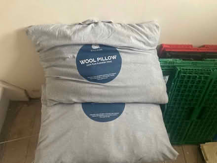 Photo of free Two bags of Llama fleece (London) #1