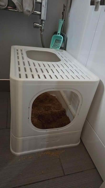 Photo of free cat litter box (CliftonM,YO30) #2