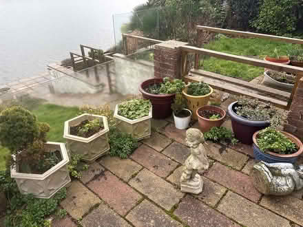 Photo of free Various plant pots (Lancing) #1