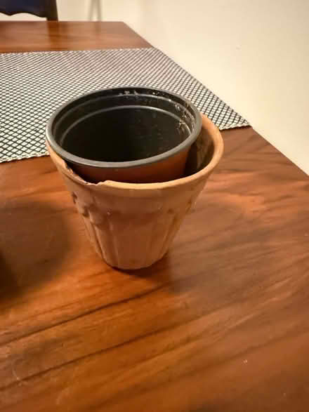 Photo of free Small plant pots (Adams Point) #2