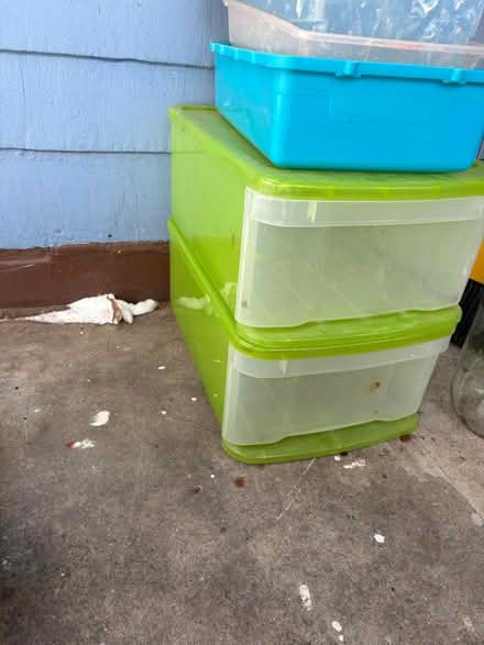 Photo of free plastic drawers, plastic containers (Roxbury) #2