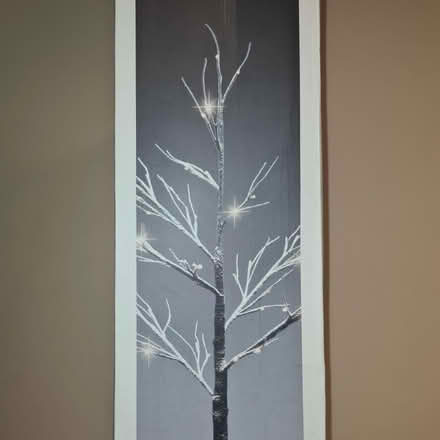 Photo of free 4FT Tree Light (TW7) #2