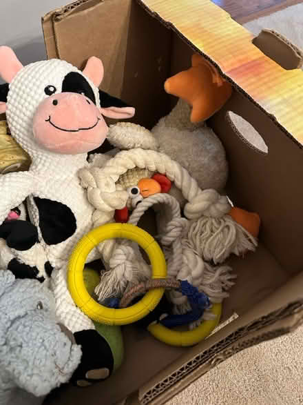 Photo of free Dog toys, mostly stuffed animals (Long Grove) #2
