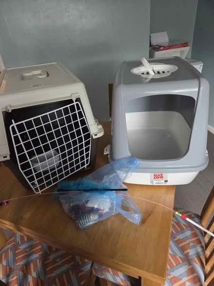 Photo of free Pet carrier and litter box (Southend on sea Ss2 4dh) #1