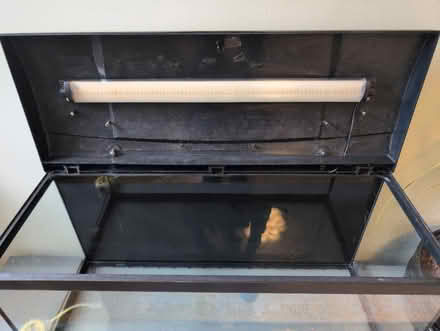 Photo of free 80l Aquarium (Bear Flat, Bath BA24) #3