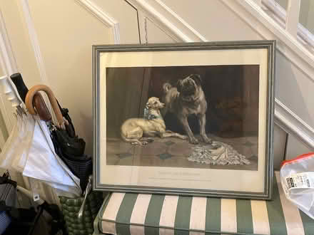 Photo of free Framed dog art print (W3 Acton) #1