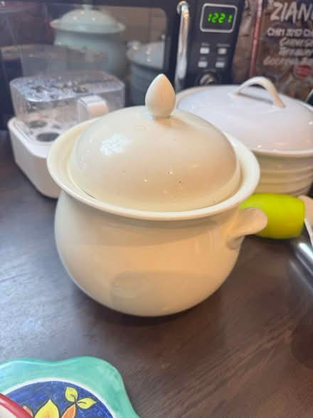 Photo of free Soup terrine (Dawlish Devon EX7) #1