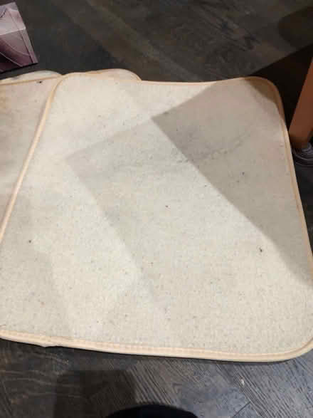 Photo of free Large drying mats (Midtown Toronto) #2
