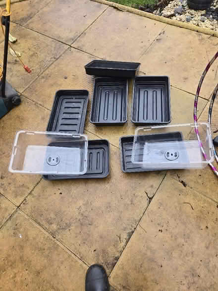 Photo of free Seed trays (Shifnal TF11) #1