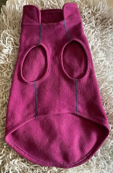 Photo of free Dog pullover (Size 14) (Bloor/ The West Mall) #2