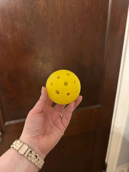 Photo of free Pickle ball paddles (Malden) #2