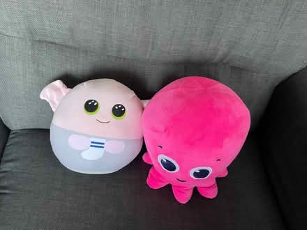 Photo of free Teddy bundle (Thringstone LE67) #1